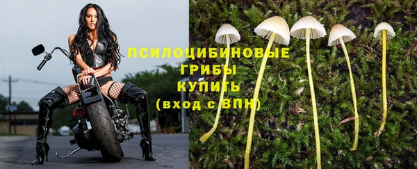 Альфа ПВП Алексин